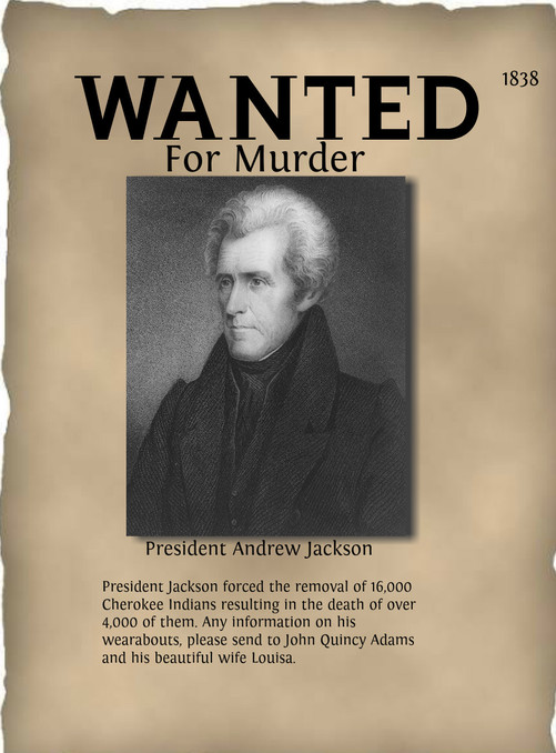 why andrew jackson is a villain